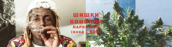 PSILOCYBIN Арсеньев